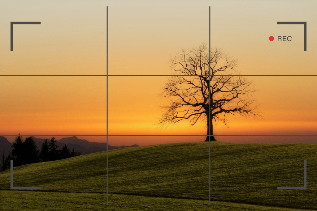 Rule of thirds. Smartphone photography for teeneagers