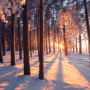 Photography Courses for Teenagers – How to Take Magical Photos with Winter Light